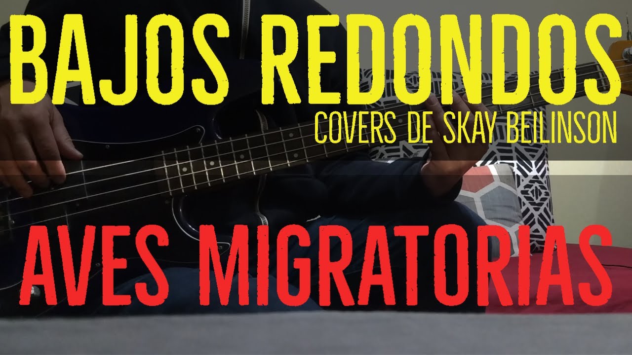 Aves Migratorias - Skay Beilinson - Como Tocar - Partitura + Tablatura - Cover Bajo