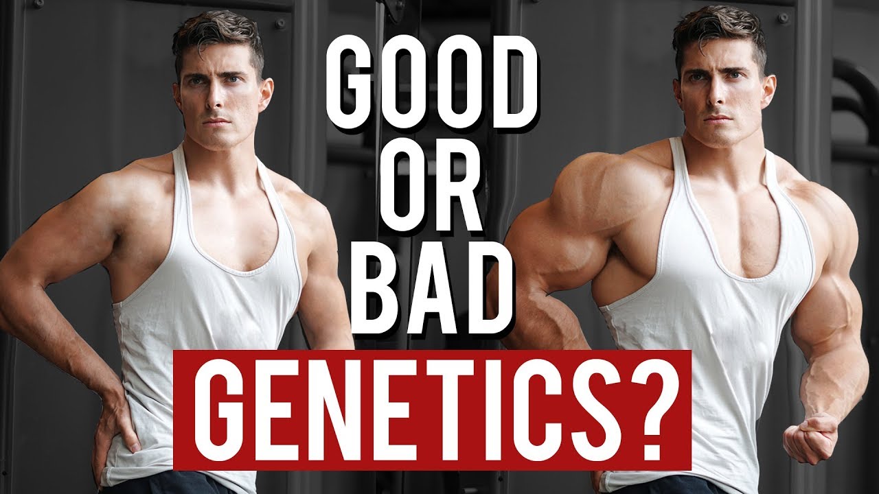 How Good are your Genetics for Muscle Gain | Vitruvian Model of Genetics