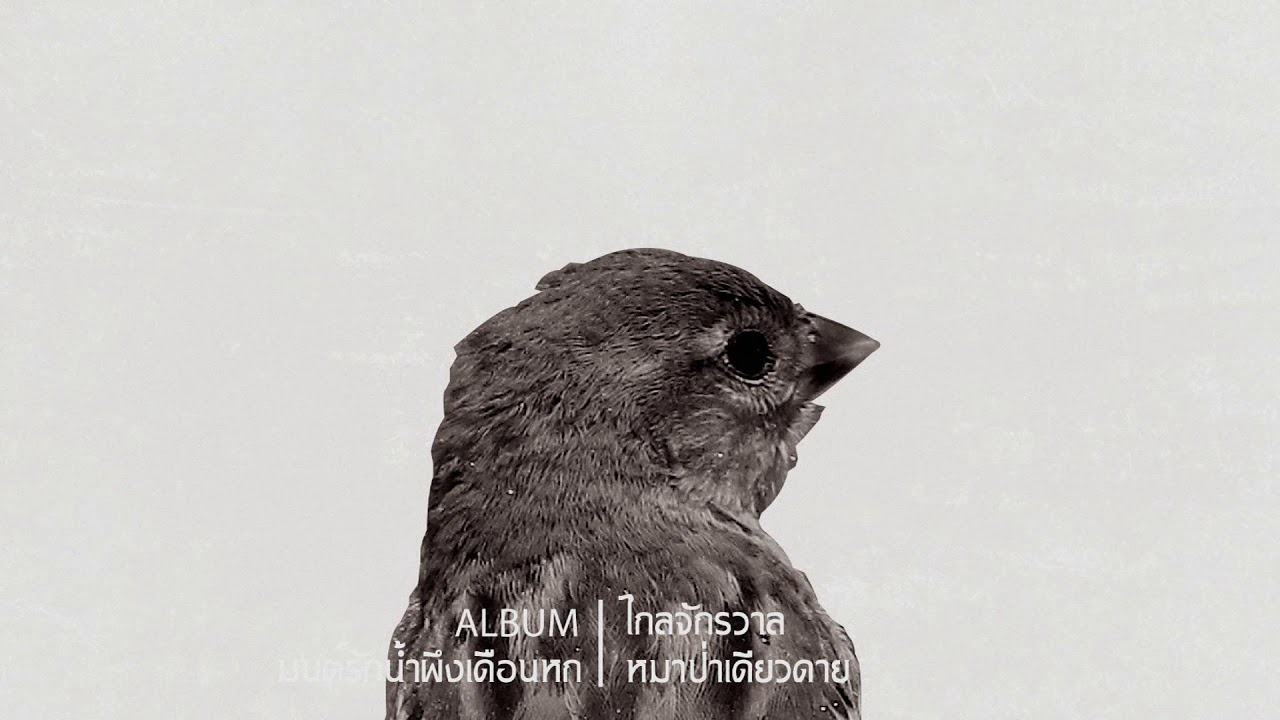 สวนไดโนเสาร์ - ไกลจักรวาล [DEMO]