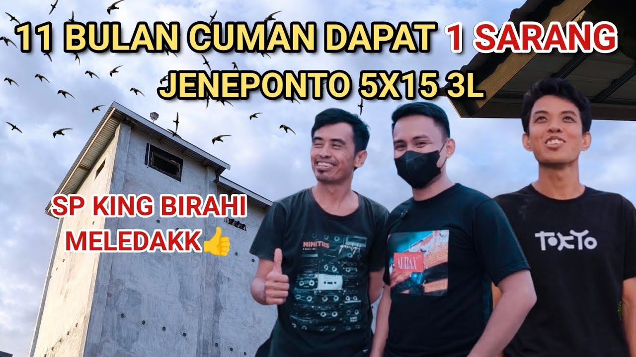 GAGAL TOTALL‼️11 BULAN CUMAN DAPAT 1 SARANG. ON PERDANA JENEPONTO 5X15 3 LANTAI👍