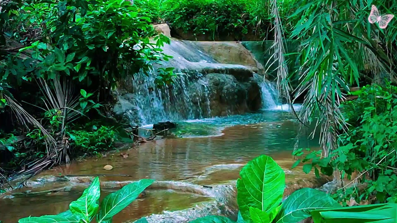 Relaxing Music For Stress Relief, Anxiety and Depressive States🌲 Heal Mind, Body and Soul Calm 73