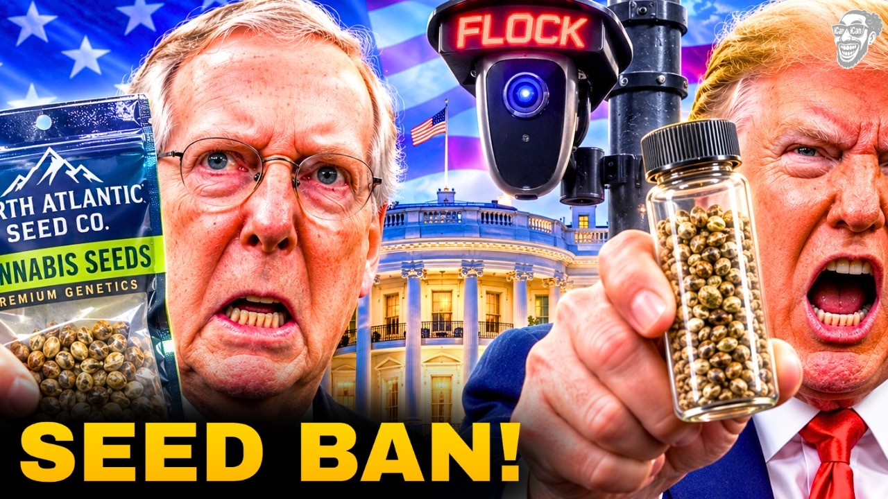 Federal WEED BAN HITS SEEDS!... And WEED SMOKERS Are Being TRACKED! 😱