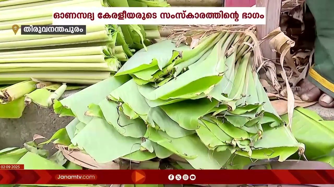 ഓണം അടുത്തതോടെ വിപണി സജീവമാകും എന്ന പ്രതീക്ഷയിൽ വാഴയില കച്ചവടക്കാർ