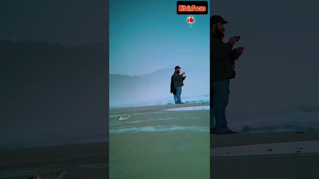 Waves of Love | A Couple's Ocean Beach Moments #shorts #OceanWavesVideo #MeditationMusic #BigWaves