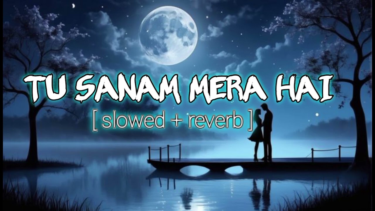 TERE DIL PE HAK MERA HAI [ Slowed + Reverb ] ROMANTIC MASHUP SONG 