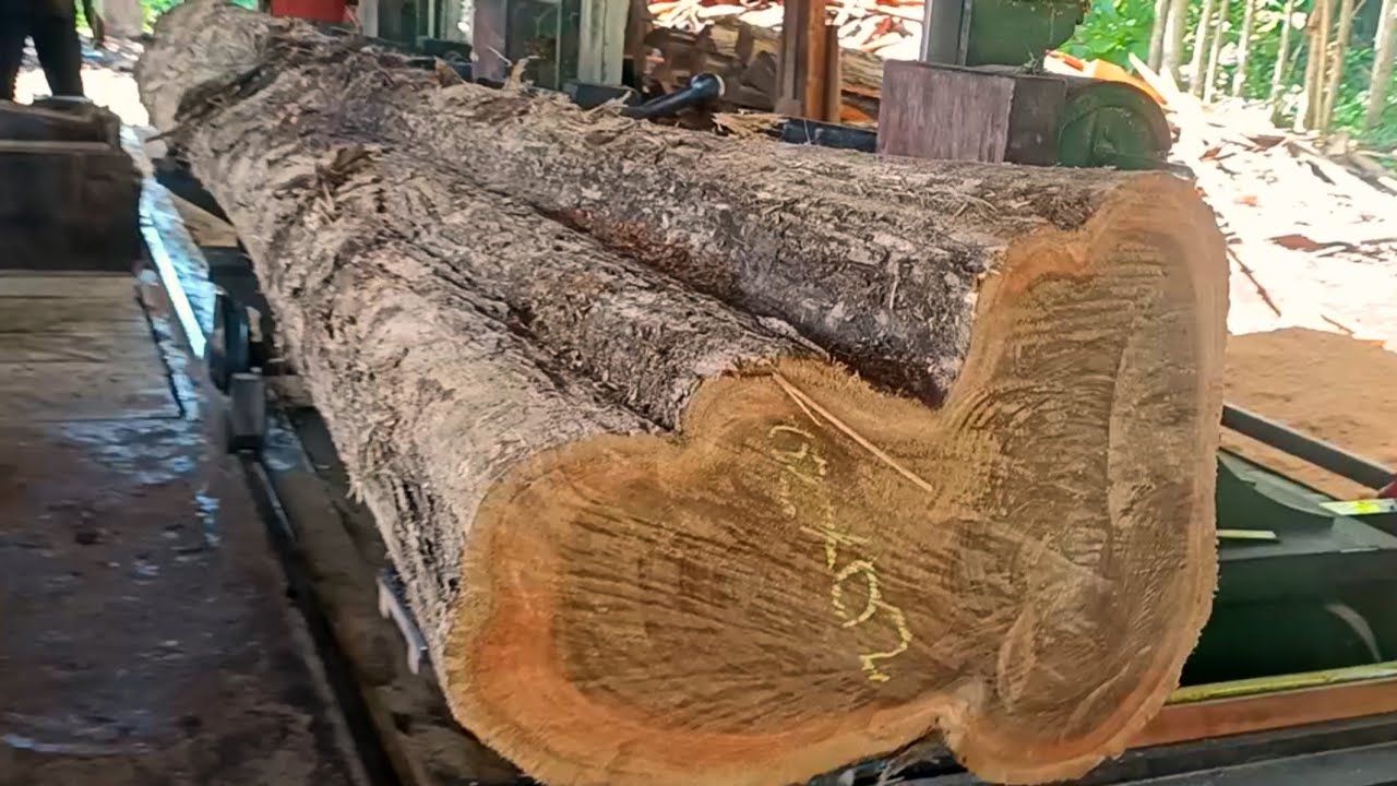 The extraordinary process of processing wood into joglo house frame beams 