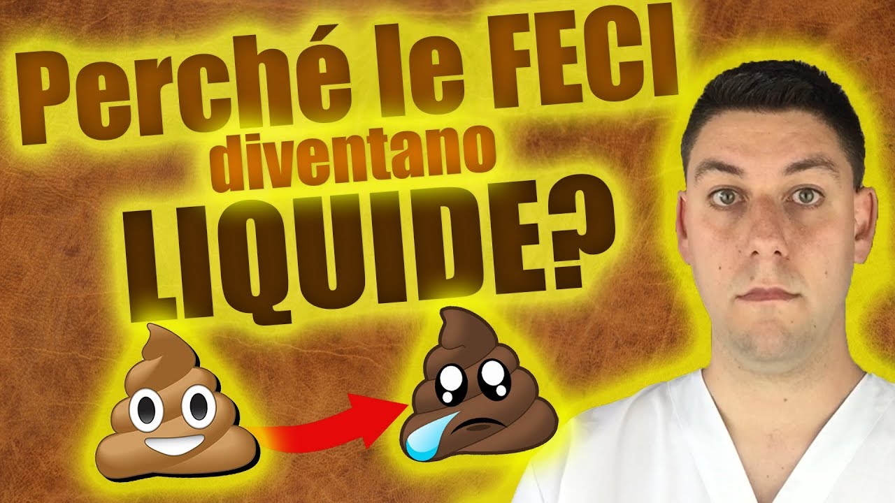 DIARREA nel cane e nel gatto: perché le feci diventano liquide?