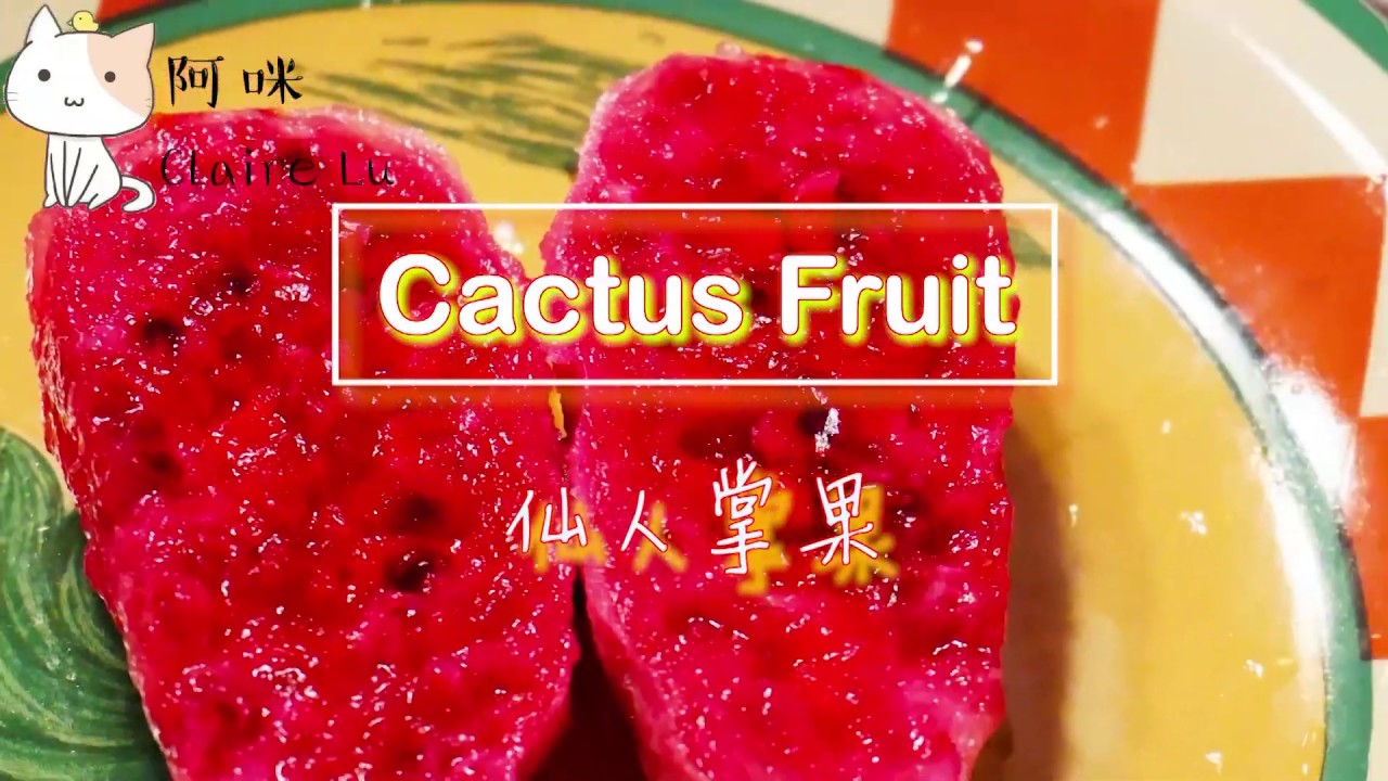 How to eat Cactus Fruit|Taste Test 仙人掌果试吃|什么味道|好奇实验室