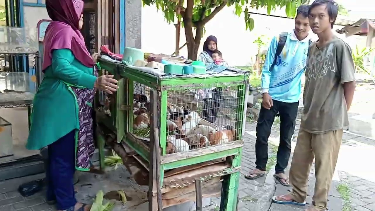 Jalan jalan ke pasar pasty Jogja 