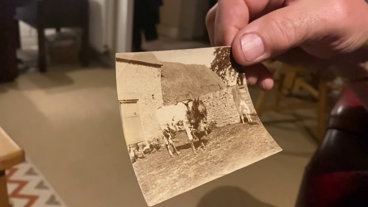 DALE FARM HISTORY - NOSTALGIA - FARMING PHOTOS - WOW DERBYSHIRE FARMING GOING BACK A LONG WAY!