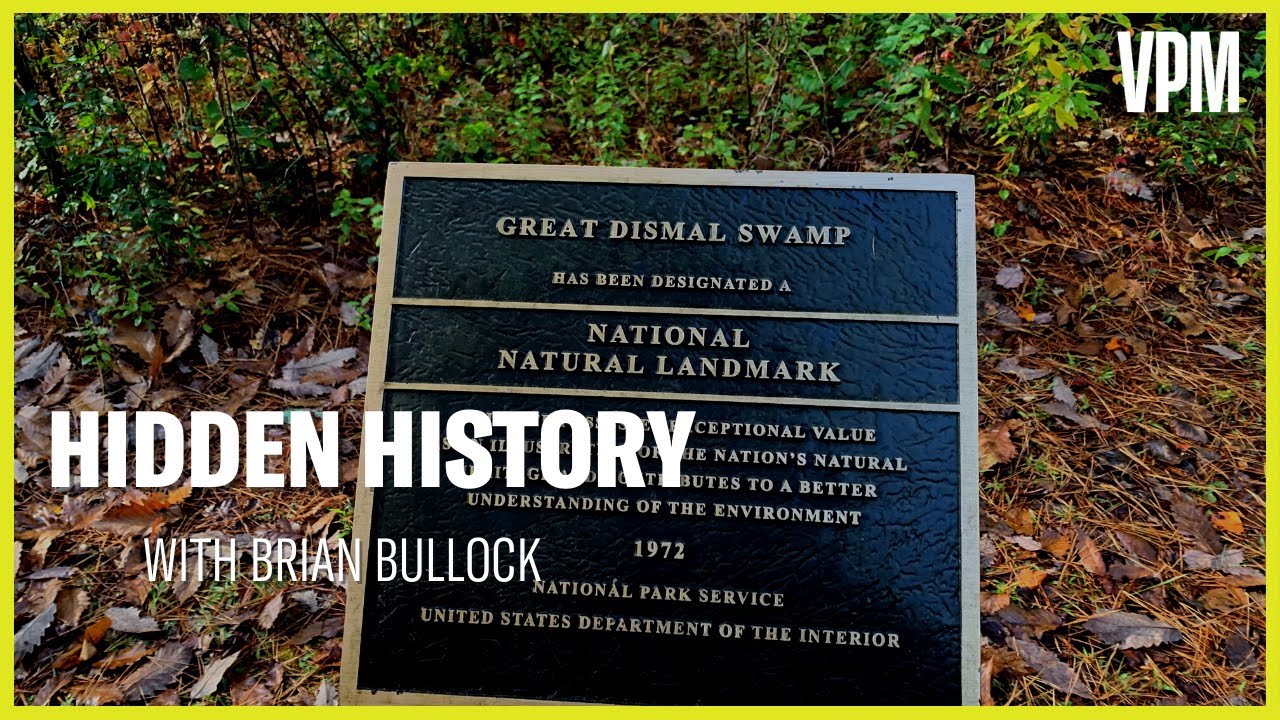 The Great Dismal Swamp | Hidden History with Brian Bullock
