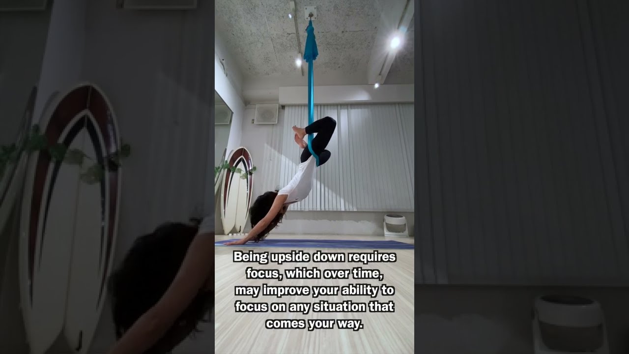 Aerial Yoga Inversion #aerialyoga #inversion #shorts