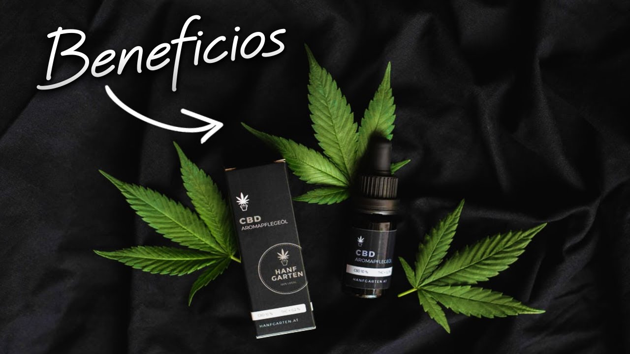 ☘️ CBD &iquest;Cu&aacute;les son sus BENEFICIOS? + MI EXPERIENCIA tomando cbd
