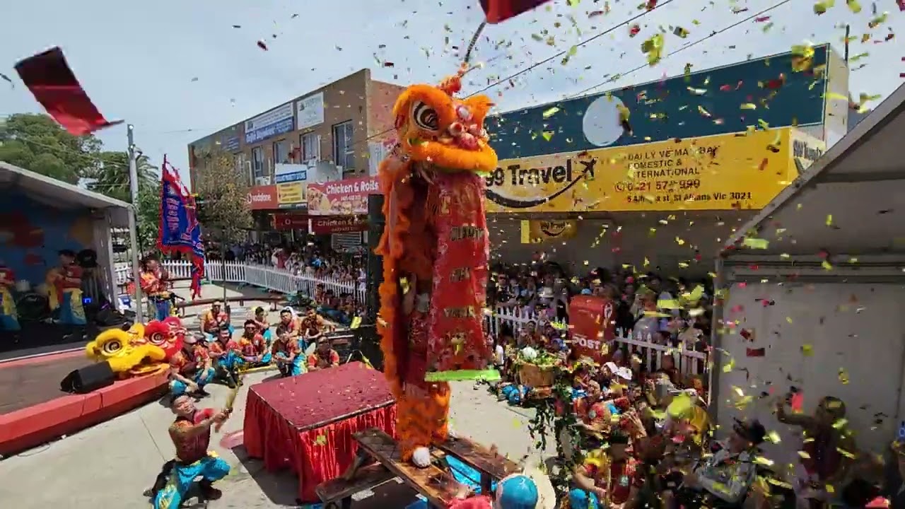 Lion Dance 2025 at St.Albans Lunar New Year festival @goplace1
