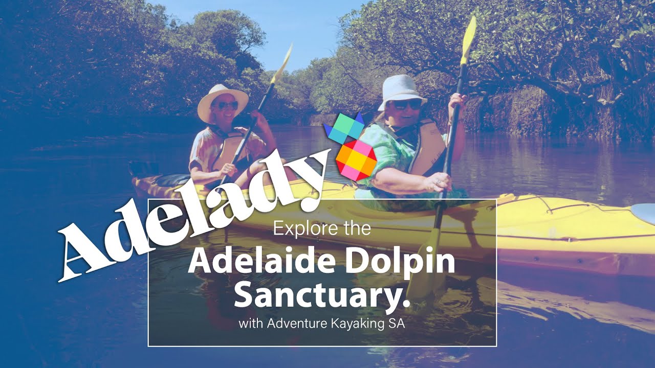 Adventure Kayaking SA FEATURED on Adelady's Hello SA!