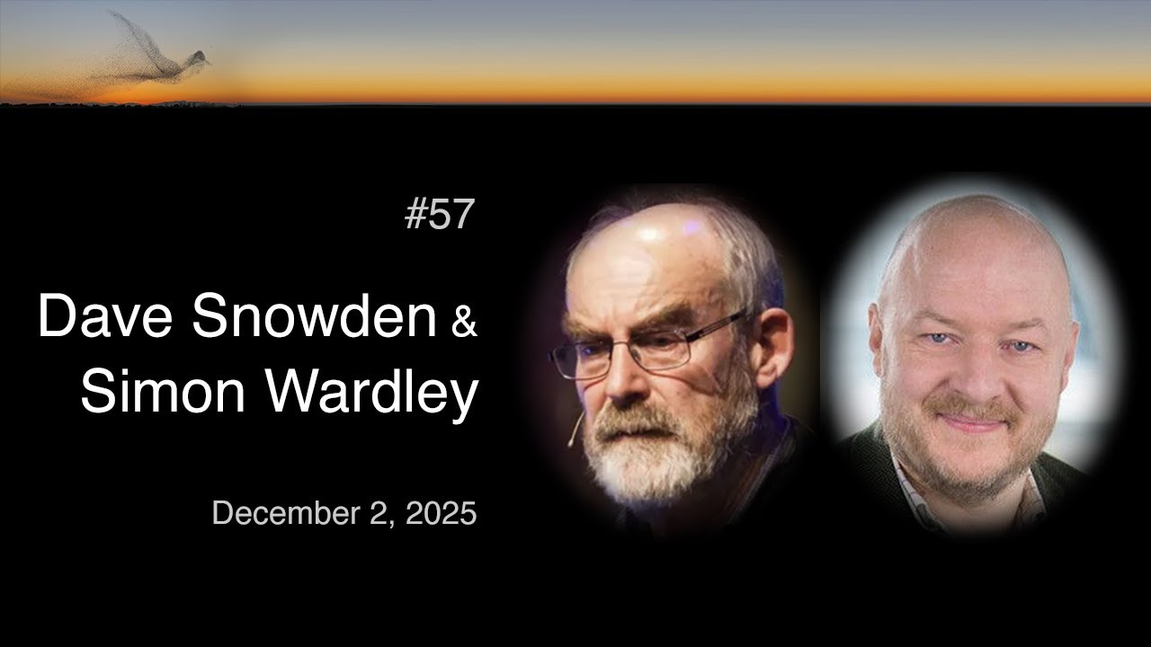 #57 Dave Snowden & Simon Wardley - An AI Rant