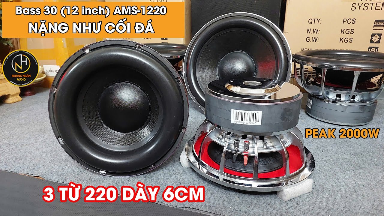 Bass 30 AMS-1220 Hàng Khủng 3 Từ 220 Coil 86 Cập Bến. RMS 1000W - PEAK 2000W. Tiếng Hay Chịu Đòn Tốt