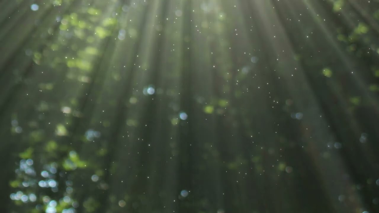 Hyvän olon paikka – ohjattu meditaatio ja mielikuvaharjoitus suomeksi (7 min)