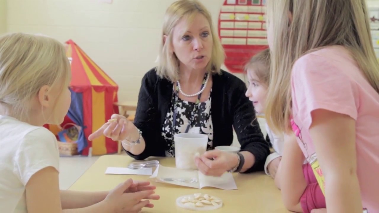 Early Childhood Pedagogy: Feedback