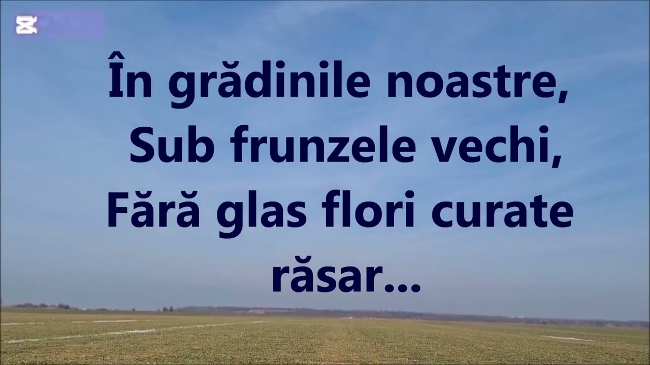 Flori pentru mama (În grădinile noastre), KARAOKE, pian, nr. 43, ”Flori și stele”