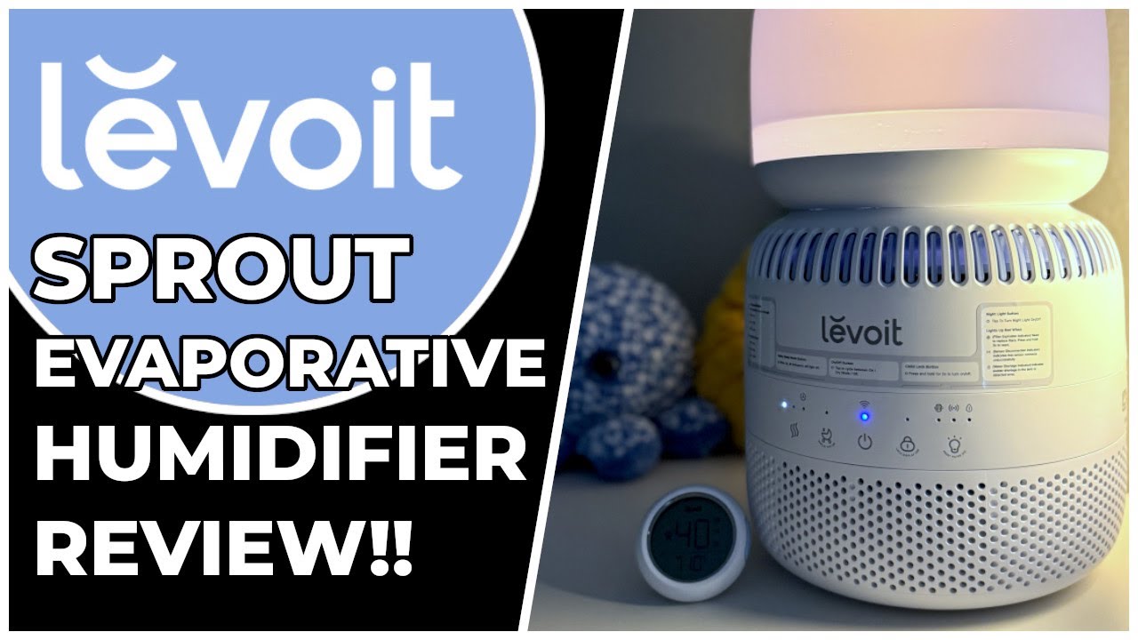 Levoit Sprout Evaporative Humidifier Review!!