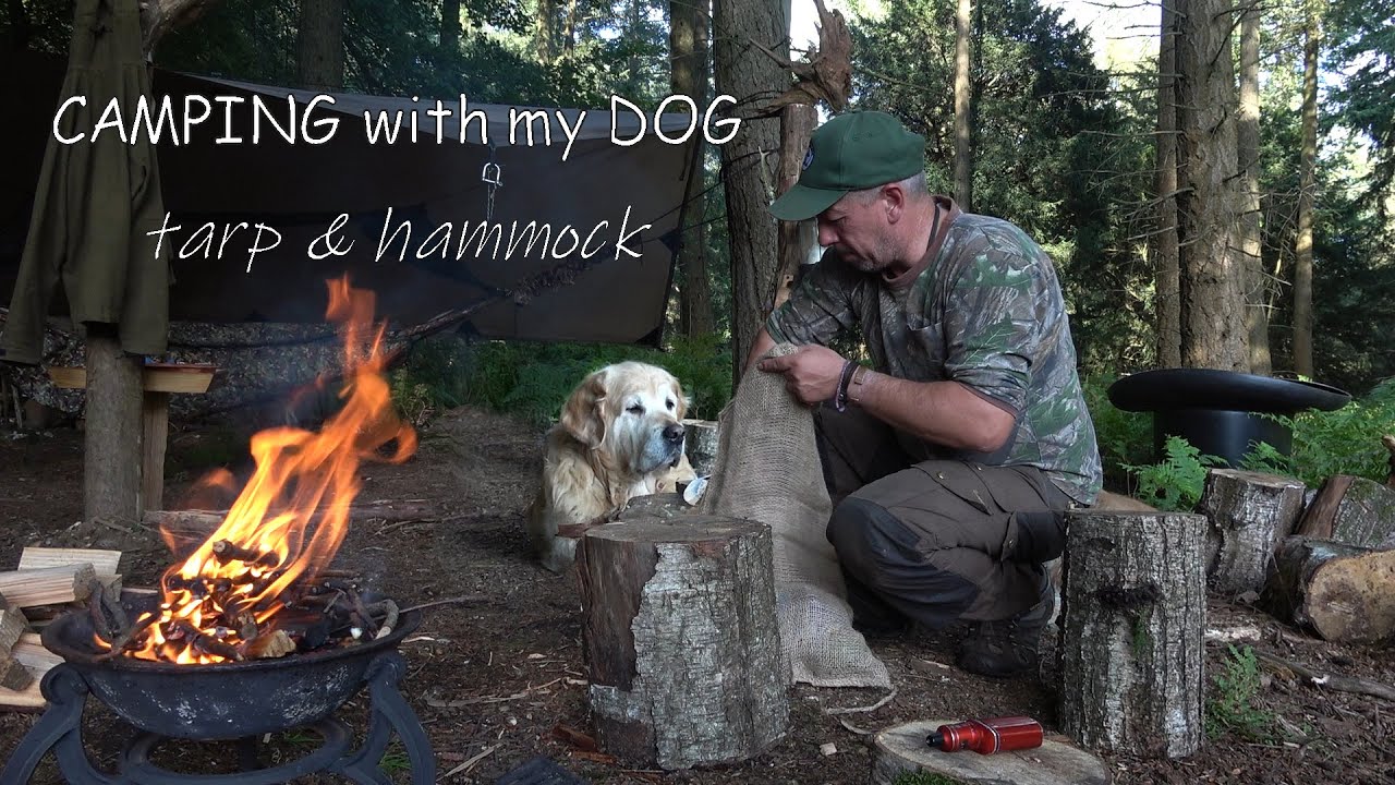 Camping Overnight with my Dog Tarp Hammock & Kebabs