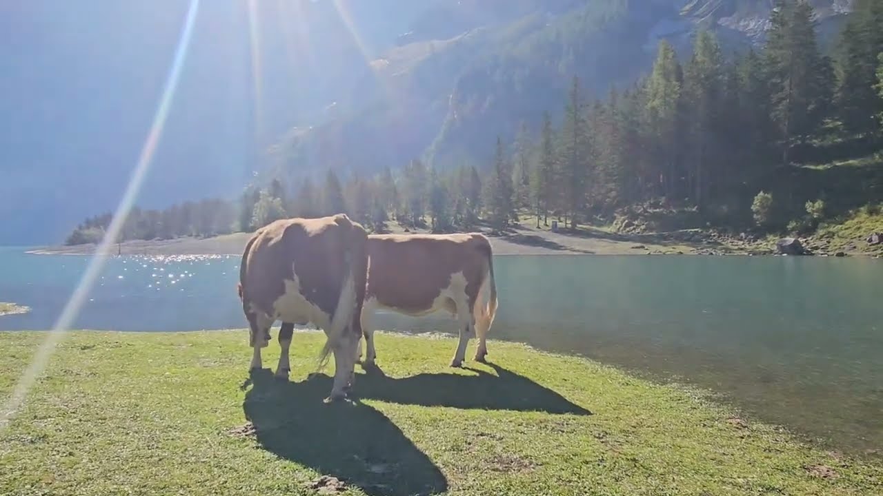 Ein Paradies auf Erden. Oeschinensee.