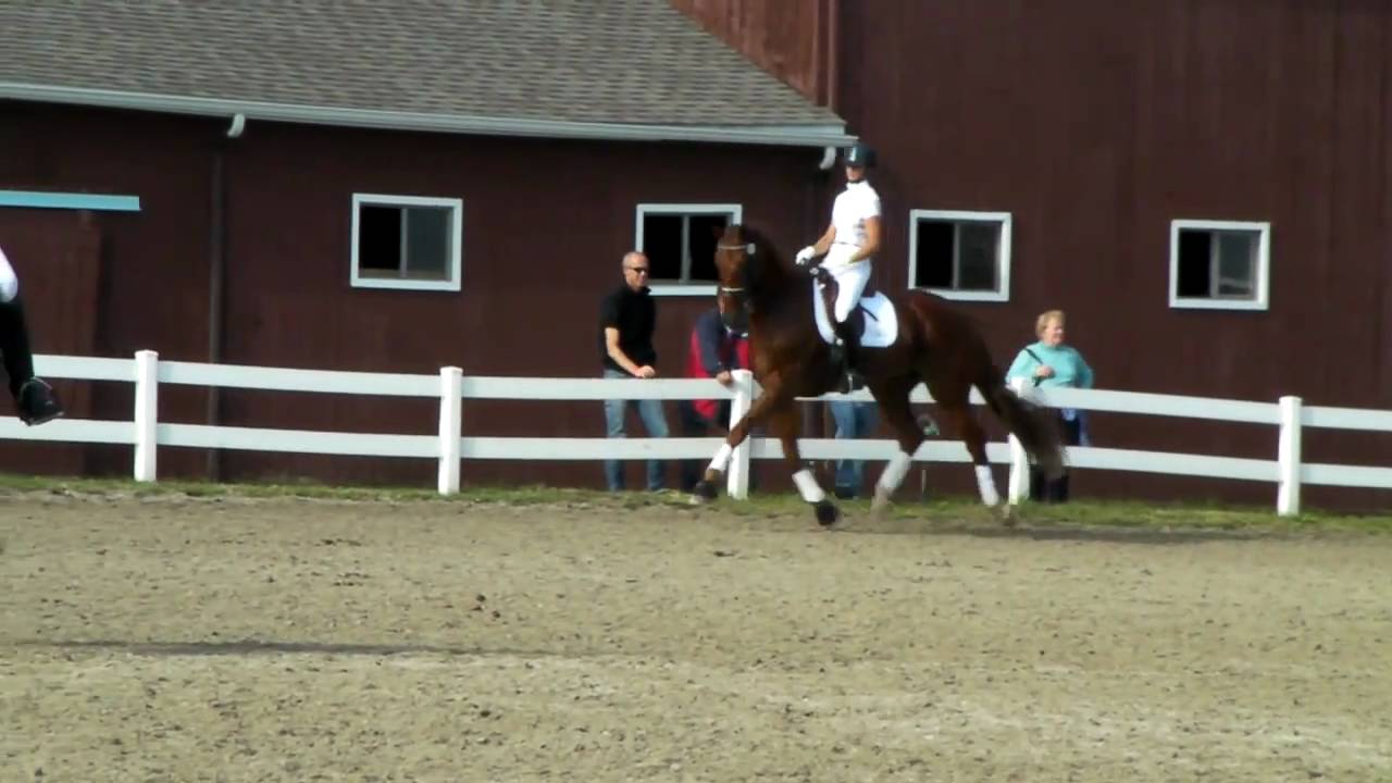 Paragon and Heather Blitz warmup at Devon, Friday Oct 1