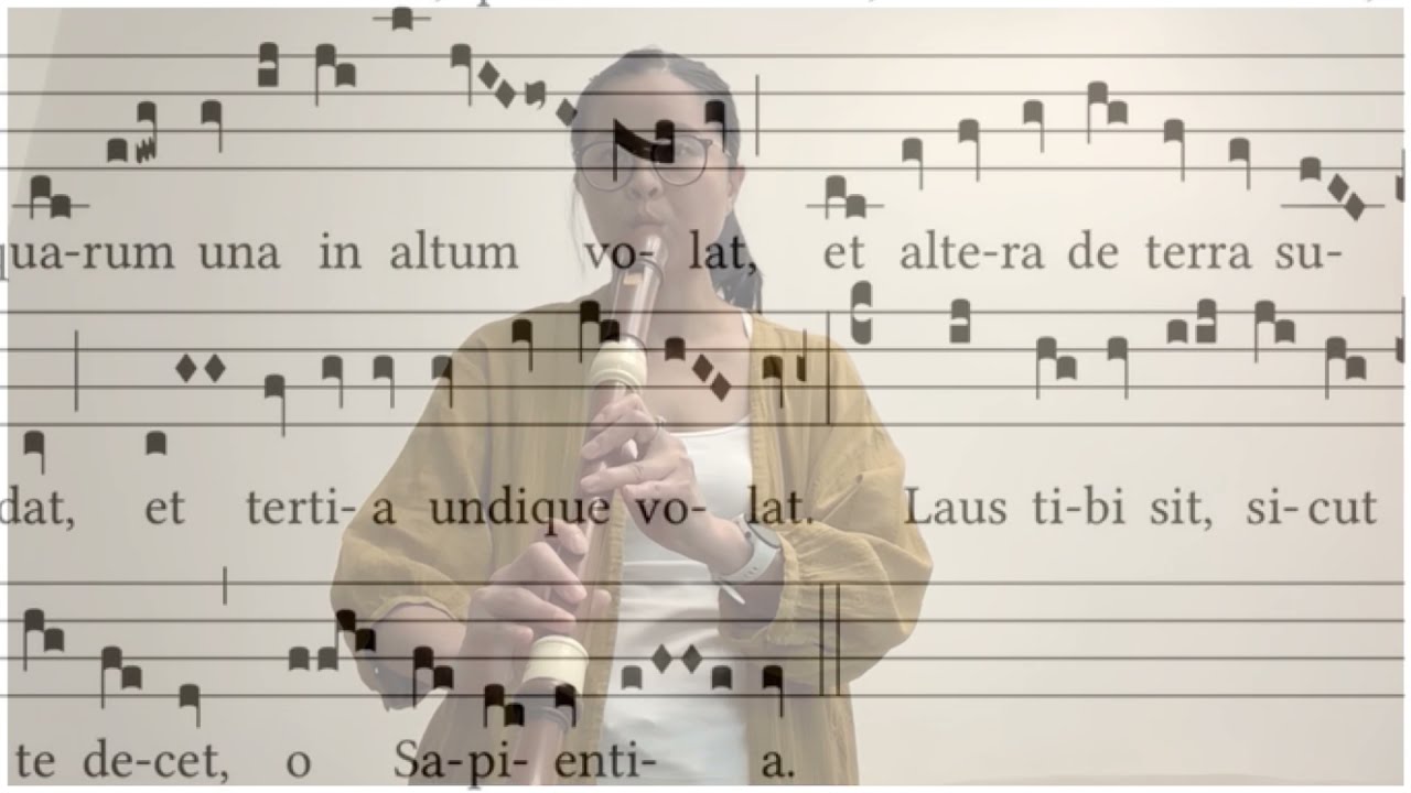 Relax Music 17 mins—Hildegard on Tenor recorder