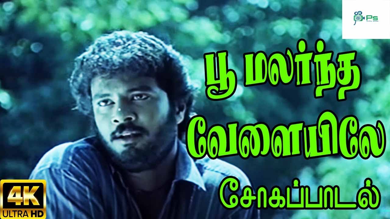 பூ மலர்ந்த வேளையிலே ||Poo Malarntha Velaiyile ||Love Sad H D Song
