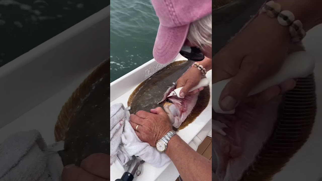 How to fillet a big flounder