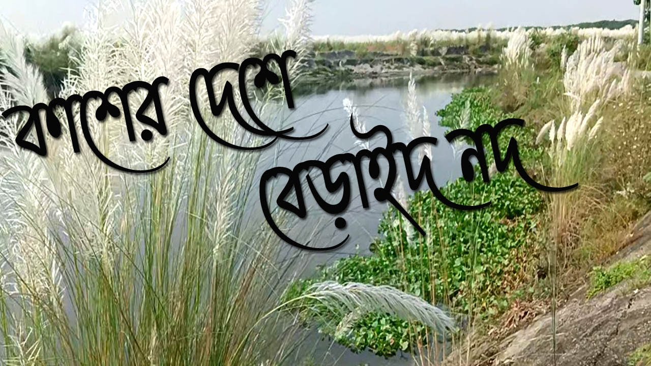 বেরাইদ নদীর ধারে কাশের বন II Beraid River - Dhaka II Tourist Spot Near Dhaka - Bangladesh II