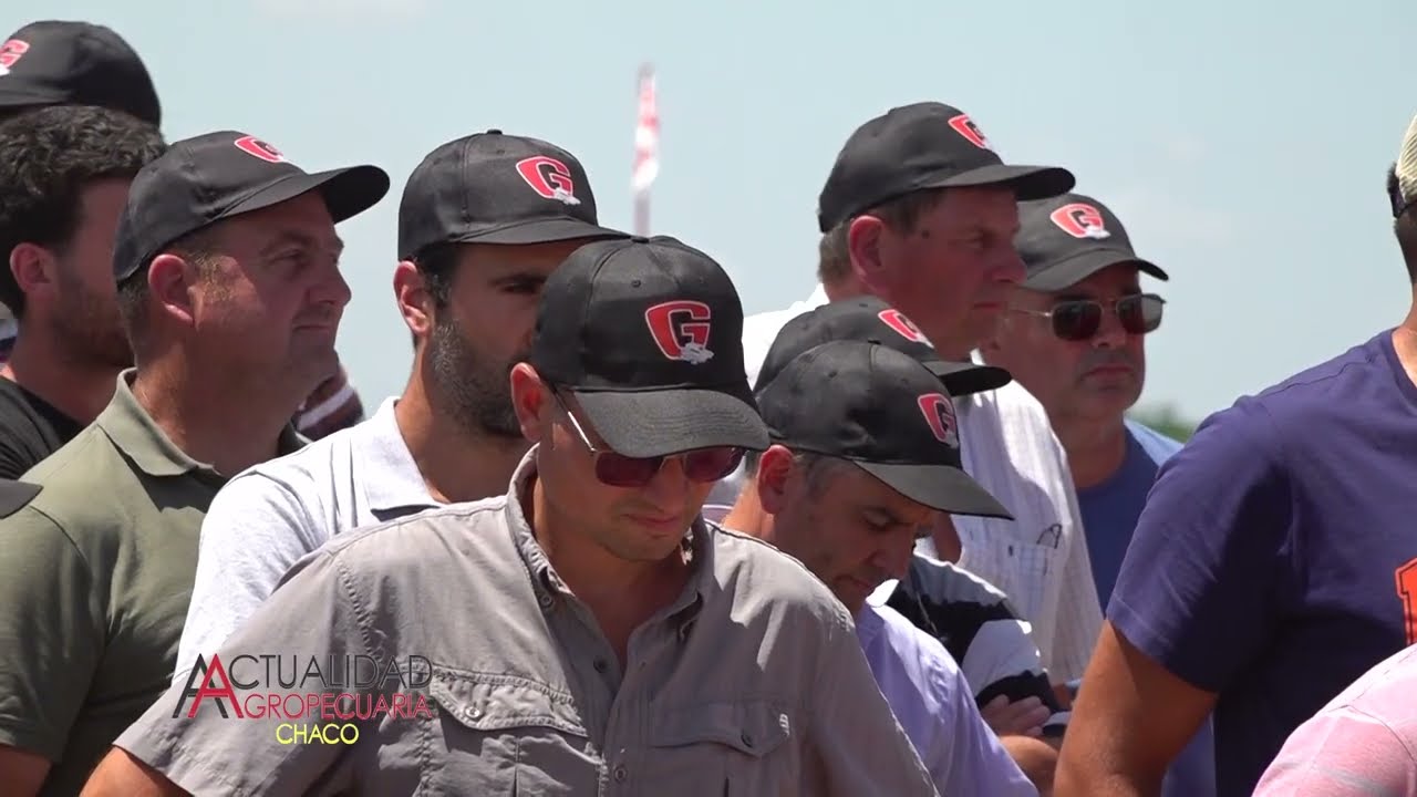 Osvaldo Giorgi y Roberto Crespo (INTA Paraná) en GIORGI a campo abierto - Actualidad Agropecuaria
