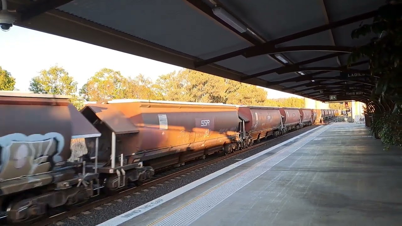 Loaded SSR grain train through Gunnedah destation Carrington 27/2/26