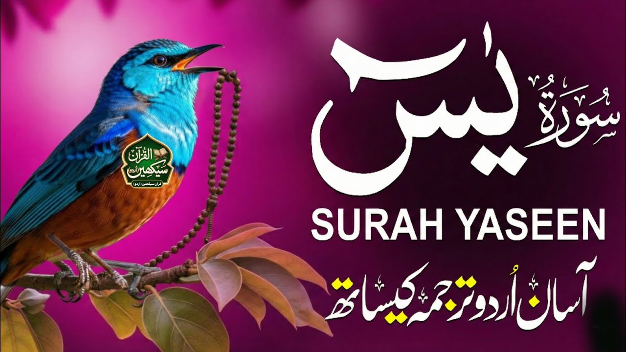 Surah Yaseen (سورة يس) | Heart-Touching Quran Recitation for Peace & Healing | With Urdu Tarjuma