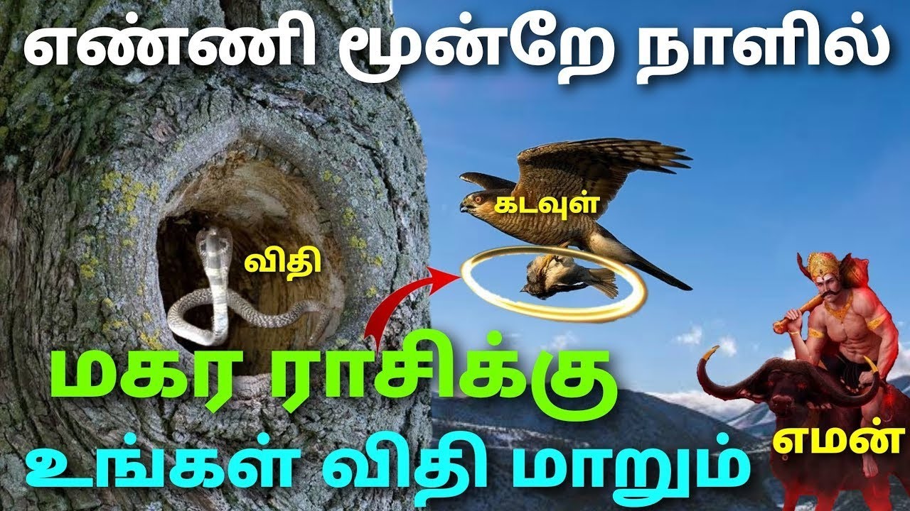 மகர ராசி இந்த வார ராசி பலன்கள் this week makara rasi horoscope in tamil weekly rasi palan in magaram