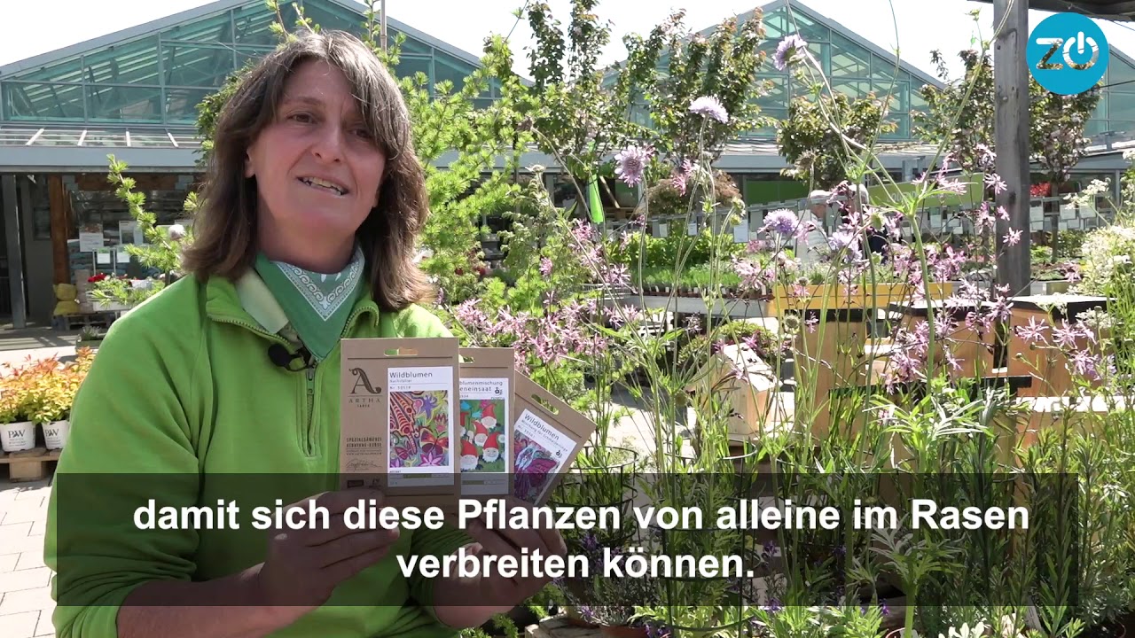 Sechs Gartentipps für mehr Biodiversität im Garten