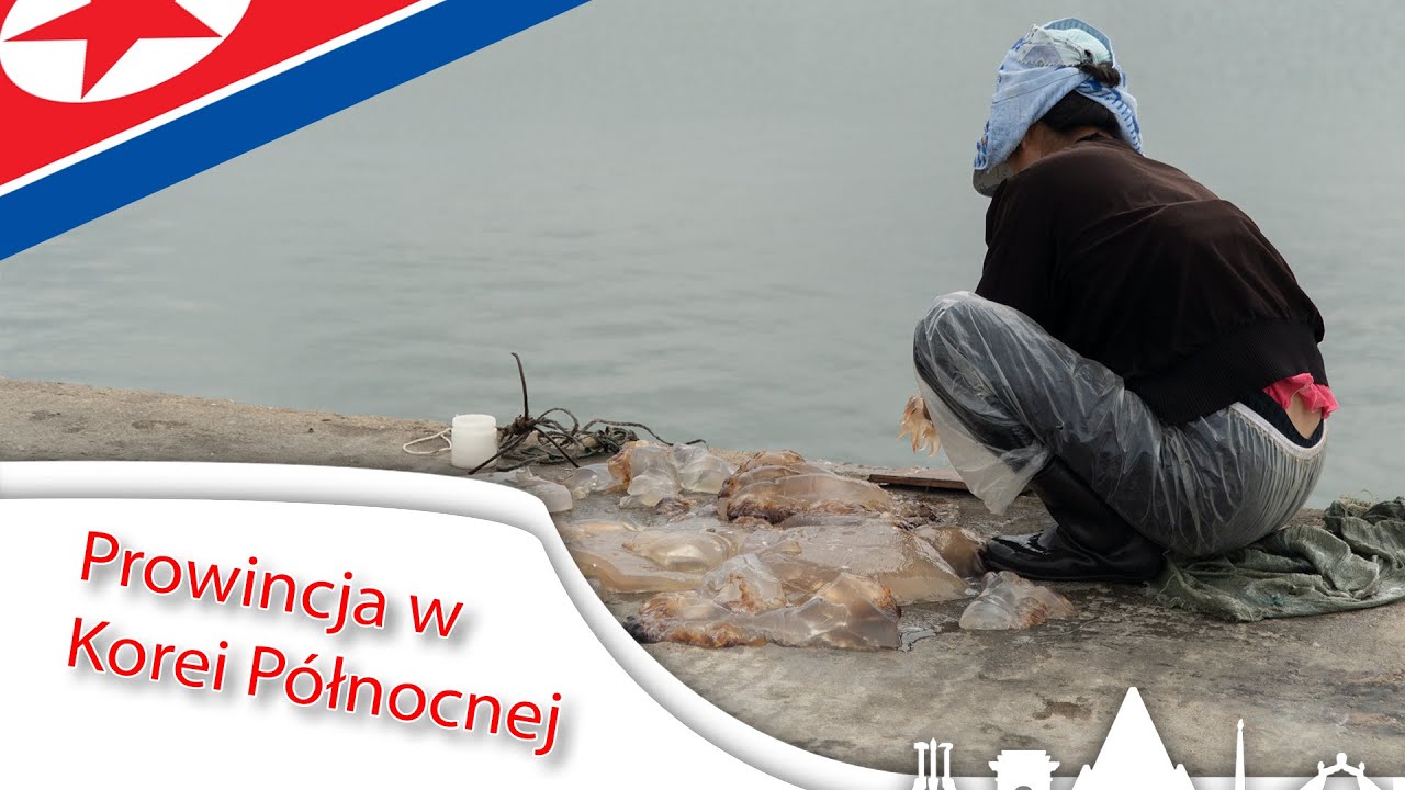 REALIA ŻYCIA w KOREI P&Oacute;ŁNOCNEJ - Ośrodek SPA dla ELIT w Nampo - Pozdro z KRLD S06E06
