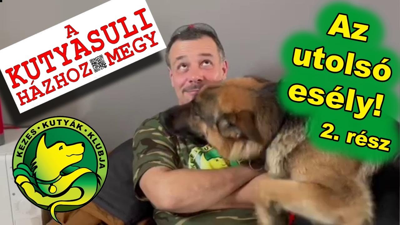 Az utolsó esély! 2.rész