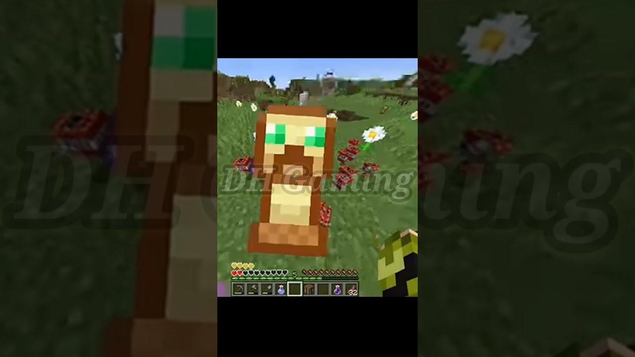 Minecraft Totem of undying MLG 