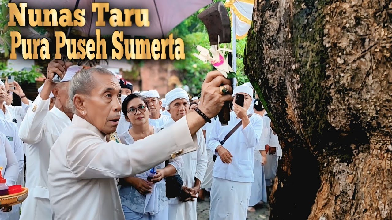Nunas Taru Pule Pura Puseh Sumerta Ring Pura Dalem Penataran Desa adat Sumerta Denpasar