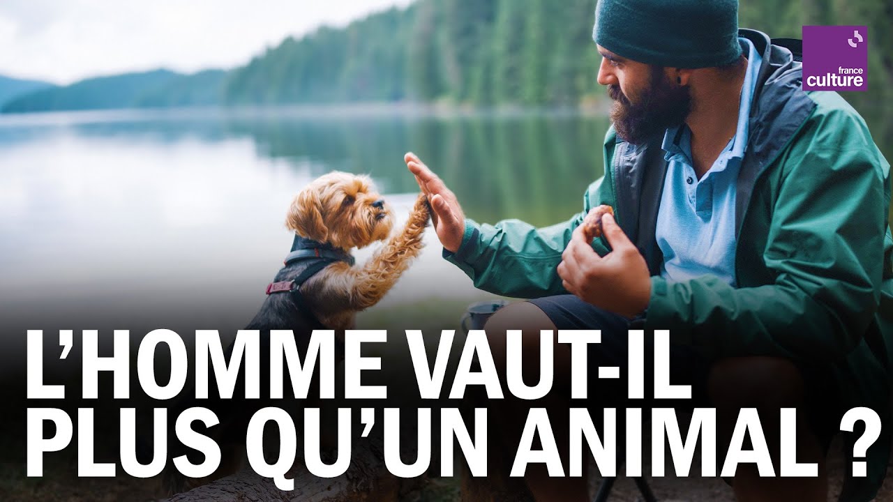 L'HOMME vaut-il plus qu'un ANIMAL ?