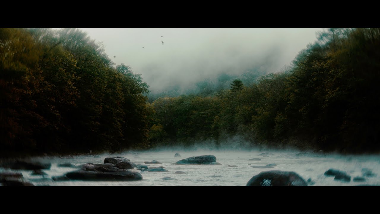 Ov Wind And Water | Red Raven | Tokina Cinema Vista | Dehancer #dehancer #tokina #cinematic #nature