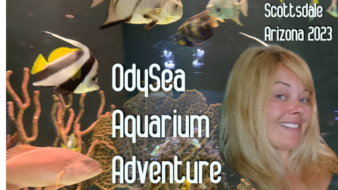 Exploring the OdySea Aquarium at the Arizona Boardwalk