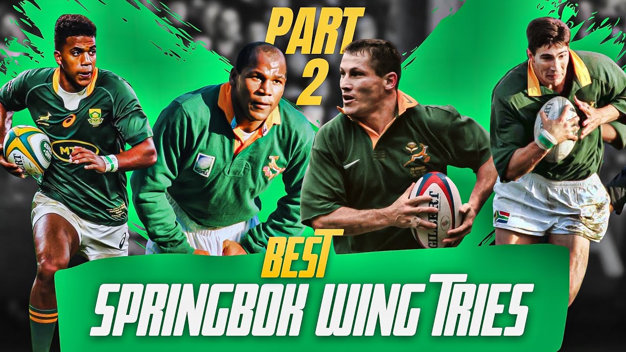 Best Springbok Wing Tries - Part 2
