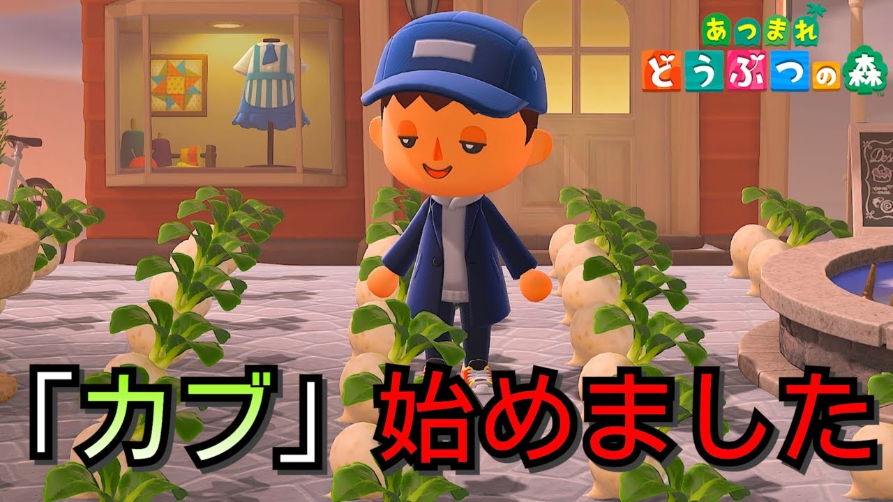 初めてカブに手を出した者の末路【あつまれどうぶつの森】