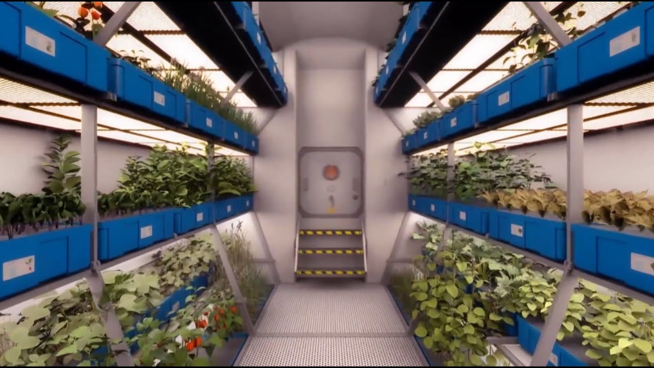 Il pomodorino spaziale