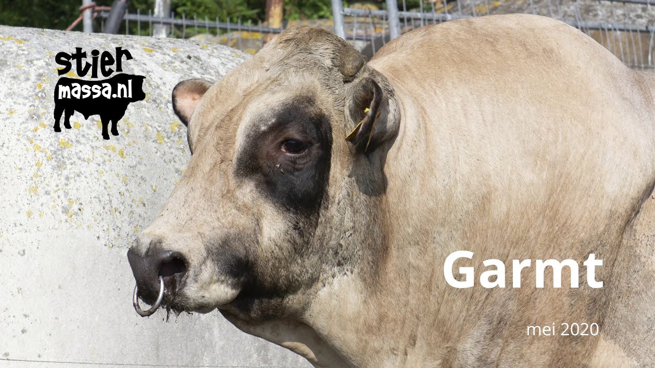 Piemontese PCO Garmt Piemontese