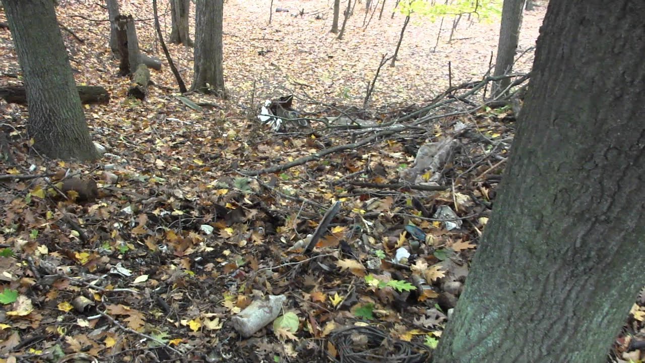 finding old glass bottles and beer cans.