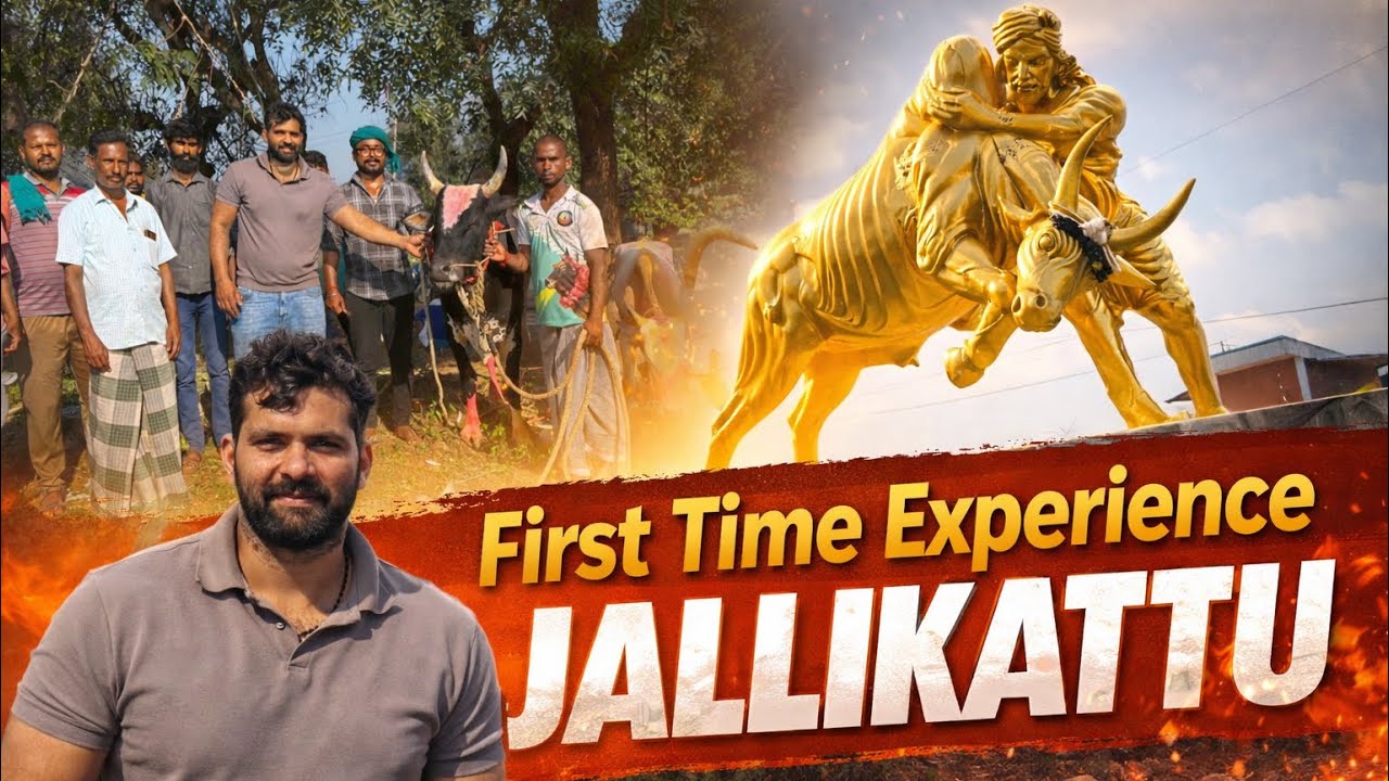 “My First Jallikattu Experience – Power, Pride & Pure Tamil Culture